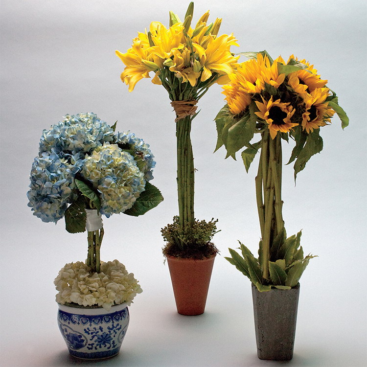 World of Flowers